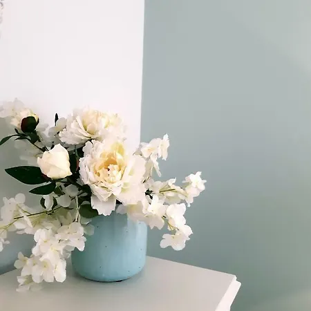 Casa Do Zezeras Апартаменты