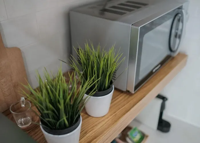 Lejlighed Casa Do Zezeras