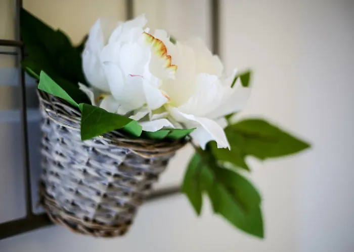 Casa Do Zezeras Lejlighed Nazaré