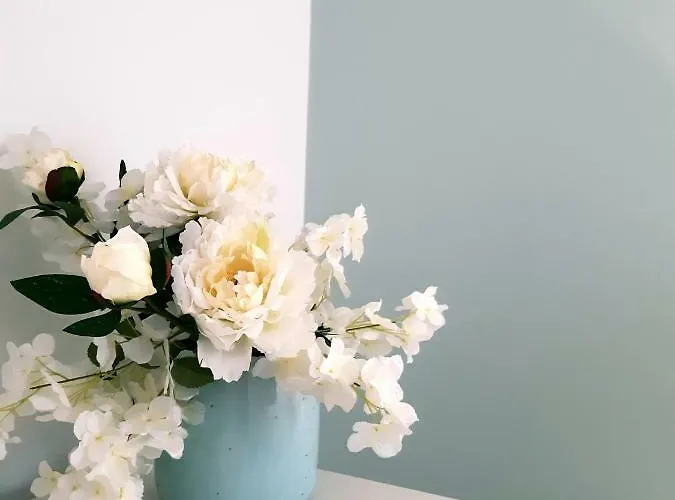 Casa Do Zezeras Lejlighed